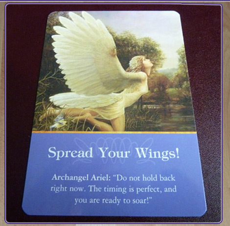 Angel Cards - Spread Your Wings