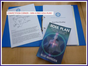 What is a Soul Plan